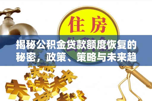九龙城揭秘公积金贷款额度恢复的秘密，政策、策略与未来趋势