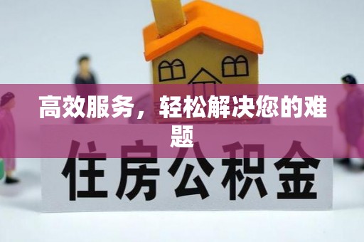 九龙城高效服务，轻松解决您的难题