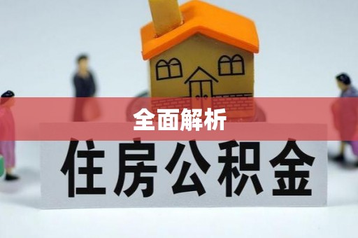 九龙城全面解析