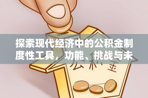九龙城探索现代经济中的公积金制度性工具，功能、挑战与未来