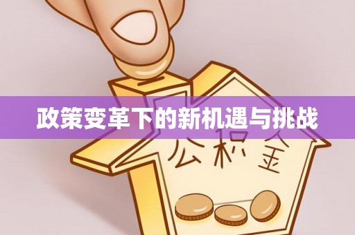 九龙城政策变革下的新机遇与挑战