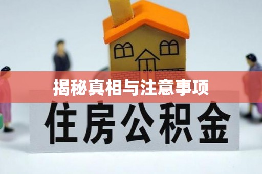 九龙城揭秘真相与注意事项