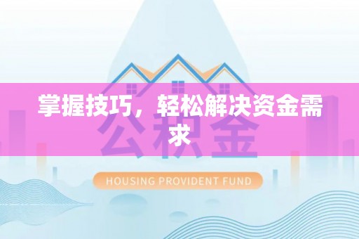 九龙城掌握技巧，轻松解决资金需求