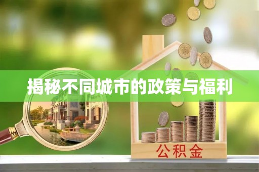 九龙城揭秘不同城市的政策与福利