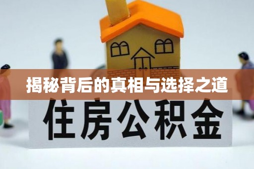九龙城揭秘背后的真相与选择之道