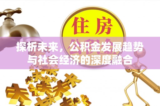 九龙城探析未来，公积金发展趋势与社会经济的深度融合