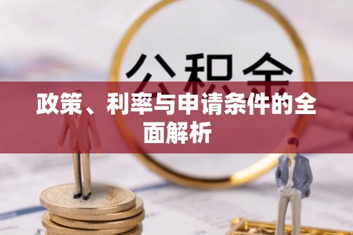九龙城政策、利率与申请条件的全面解析